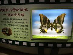 -上海昆虫博物馆