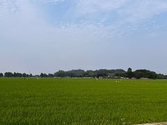-崖口红树林海鲜餐厅