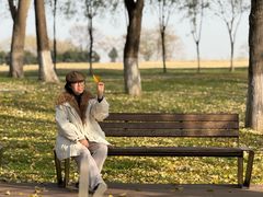 -汉长安城未央宫国家考古遗址公园