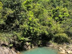 -广州白江湖森林公园