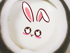 -志龙皇冠吃货椰子铺