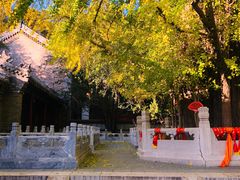 -潭柘寺景区