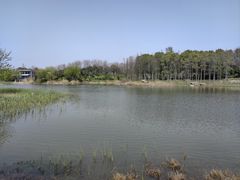 -贡湖湾湿地公园