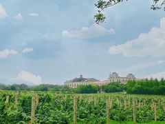 -北京张裕爱斐堡酒庄