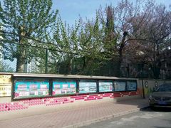 -北京林业大学幼儿园