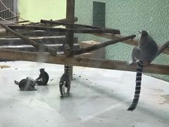 -太原动物园