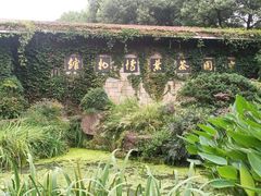 -中国茶叶博物馆(双峰馆区)