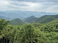 -莫干山风景区