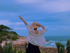-广东惠东海龟国家级自然保护区
