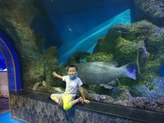 -大明湖海底世界