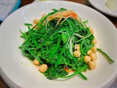 清炒南瓜尖儿-巴依老爷新疆美食(牡丹园店)