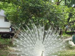 -宁波野生动物园