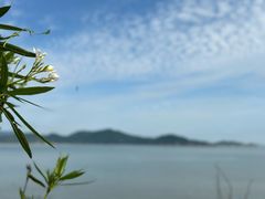 -珞珈山-售票处