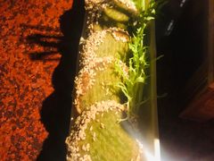 绿茶饼-绿茶餐厅(华联万柳店)