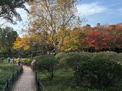 -八大关景区