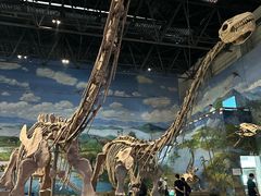 -自贡恐龙博物馆