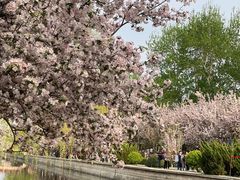 -元大都城垣遗址公园