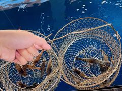 -SHRIMP CLUB万东餐饮钓虾·清吧