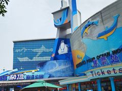 -海合安青岛极地海洋公园