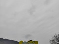 -无锡动物园·太湖欢乐园