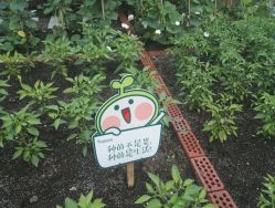 -梦田都市农场(银泰城店)