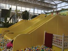 -南宫五洲植物乐园