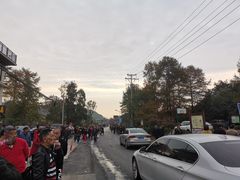 -长兴慧子土特产茶行