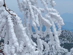 -东白山