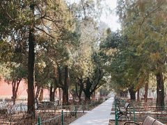 -北京市劳动人民文化宫(太庙)
