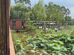 -白鹭湾湿地公园