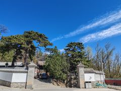 -阳台山自然风景区