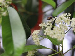 -杭州植物园