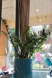 IMG_5465-日寸形象护肤养生