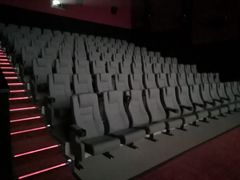 -红星电影世界上海张江绿地店