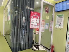 -悦宠动物医院(京丰分院)