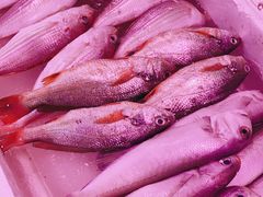 -锦绣大地生鲜食品厅