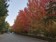 -辽宁大学(崇山校区)
