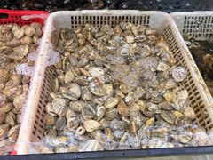 -坛南湾阿强农家乐.海鲜大排档老字号(福州地标美食店)