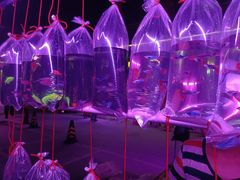 -华声天桥民俗文化园