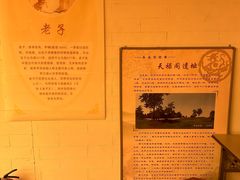 -汉长安城未央宫国家考古遗址公园