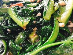 -鲤鱼塘农家山庄