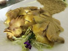 -龙悦湾酒家·八阵鱼生·渔人码头店
