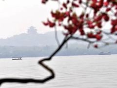 -西湖游船