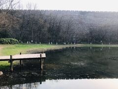 -紫金山天文台