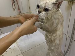 -沐沐家宠物(成寿寺店)