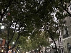 -飞马旅黎黄陂路文旅街区