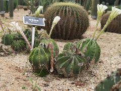 -东莞植物园