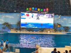 -泉城欧乐堡海洋极地世界