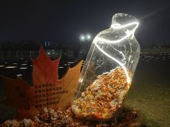 -南京眼步行桥