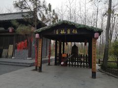 -合肥滨湖国家森林公园